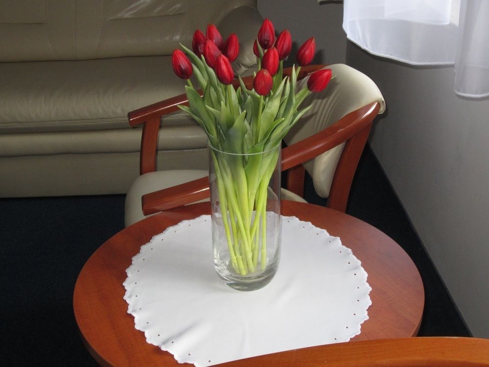 Hotel Jaworzyna Krynicka Krynica Zdroj Ngoại thất bức ảnh