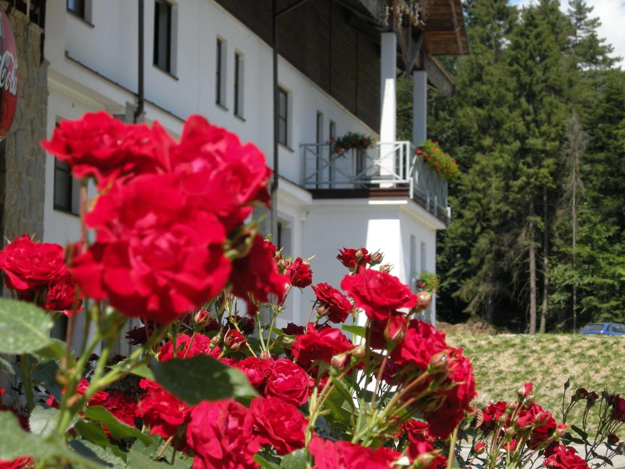 Hotel Jaworzyna Krynicka Krynica Zdroj Ngoại thất bức ảnh